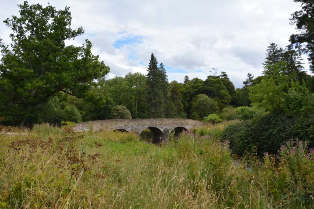 DSC_5797Mittel_.JPG